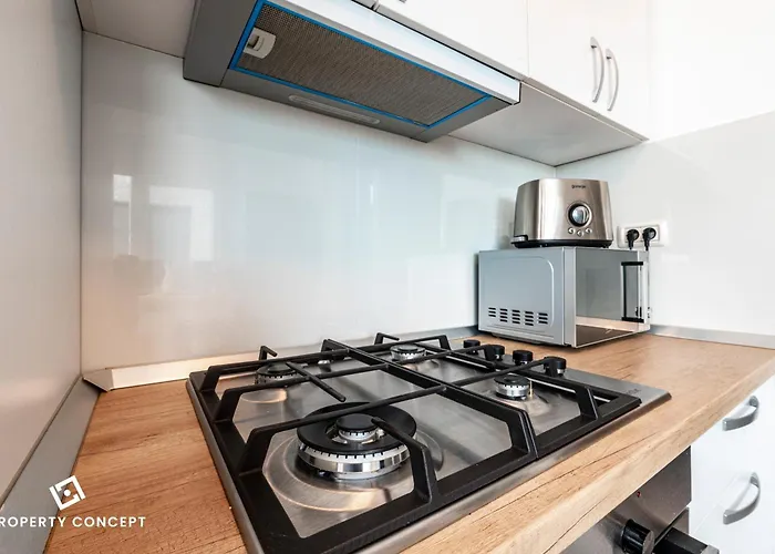 718 * 부쿠레슈티